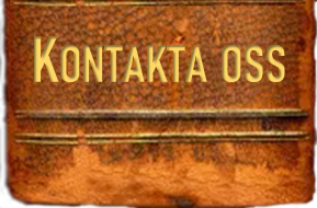 Kontakta oss